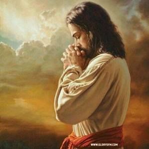 Meet your Posher, Terry